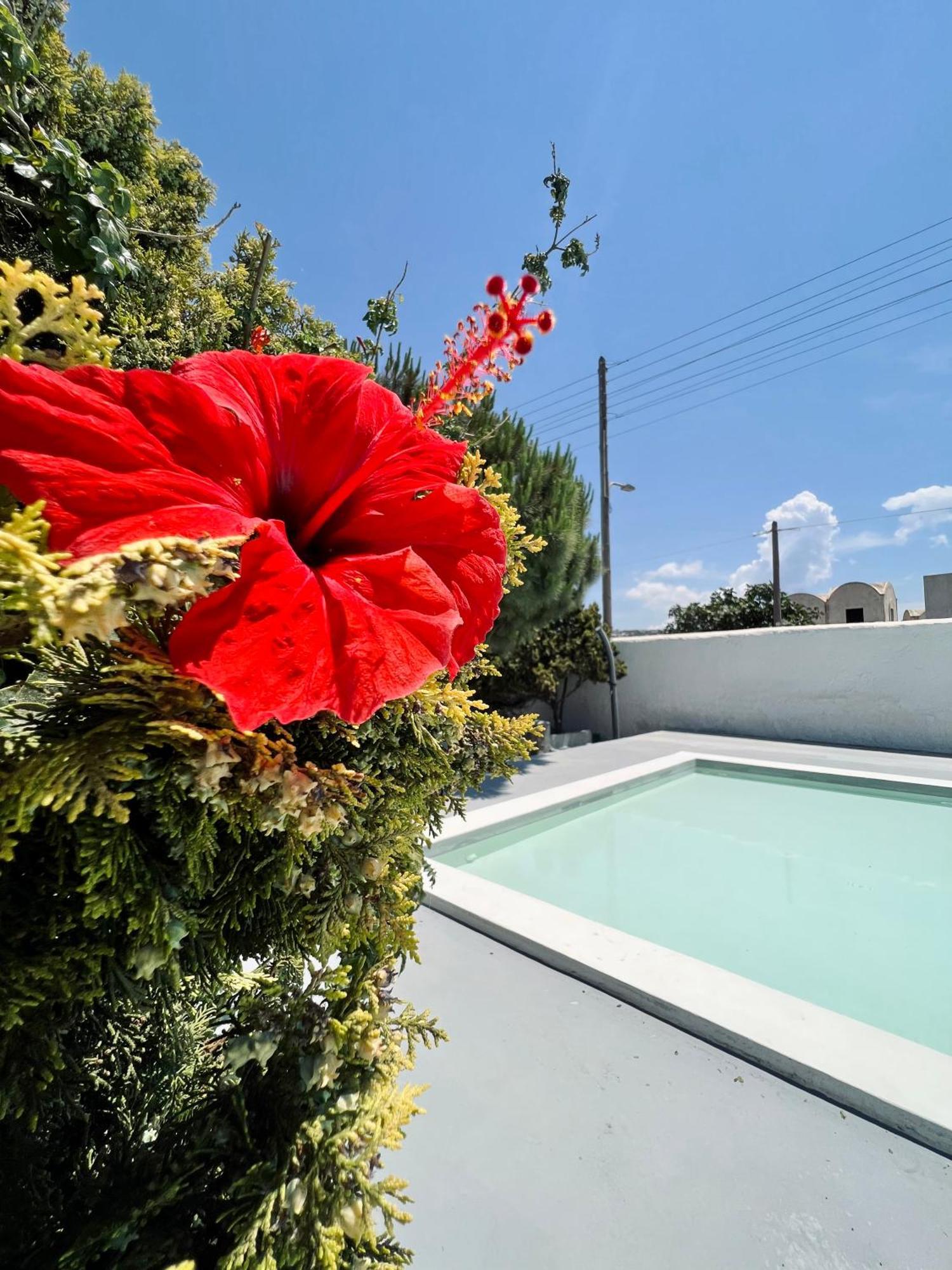 Santo Margarita Appartement Oía Buitenkant foto